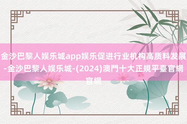 金沙巴黎人娱乐城app娱乐促进行业机构高质料发展-金沙巴黎人娱乐城-(2024)澳門十大正規平臺官網