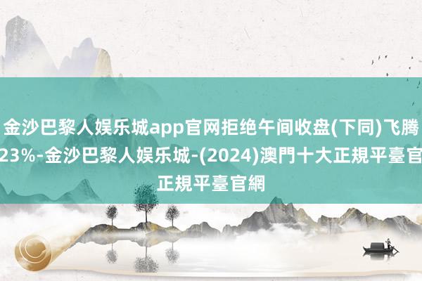 金沙巴黎人娱乐城app官网拒绝午间收盘(下同)飞腾1.23%-金沙巴黎人娱乐城-(2024)澳門十大正規平臺官網