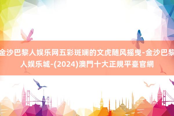 金沙巴黎人娱乐网五彩斑斓的文虎随风摇曳-金沙巴黎人娱乐城-(2024)澳門十大正規平臺官網